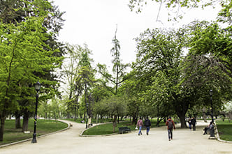 ParqueForestal