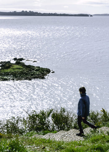 Ancud